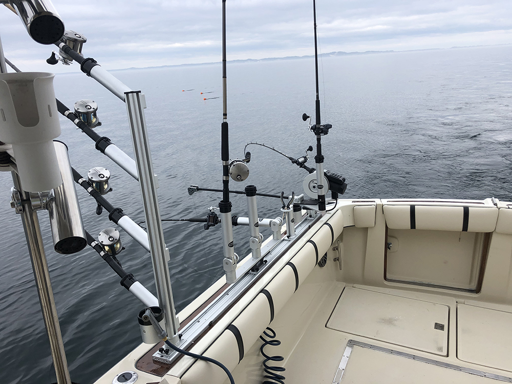 Fishing Charter in Michigan and Muskegon